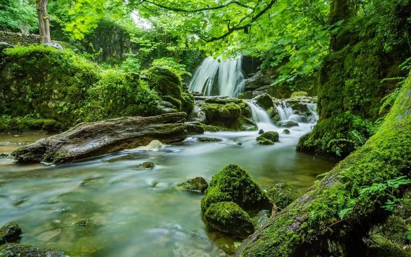 智能系统可靠性高效